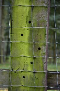 Zaun aus Drahtgeflecht