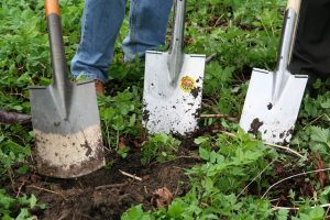 gardening-331986_640