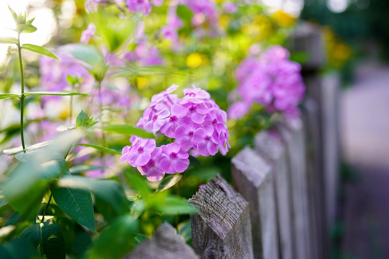 Gartenzaun für kleine Gärten maschendrahtzaunmarkt.de